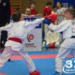 Österreichische Karate Meisterschaft 2024