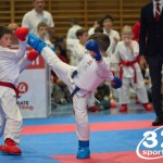 Österreichische Karate Meisterschaft 2024