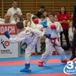 Österreichische Karate Meisterschaft 2024