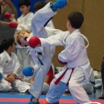 Österreichische Karate Meisterschaft 2024