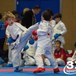 Österreichische Karate Meisterschaft 2024