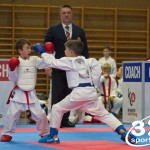 Österreichische Karate Meisterschaft 2024