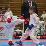 Österreichische Karate Meisterschaft 2024