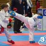 Österreichische Karate Meisterschaft 2024