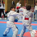 Österreichische Karate Meisterschaft 2024