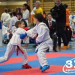 Österreichische Karate Meisterschaft 2024