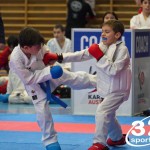 Österreichische Karate Meisterschaft 2024