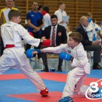 Österreichische Karate Meisterschaft 2024