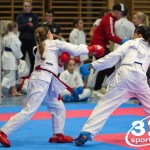 Österreichische Karate Meisterschaft 2024