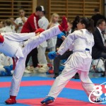 Österreichische Karate Meisterschaft 2024