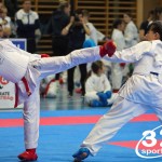 Österreichische Karate Meisterschaft 2024