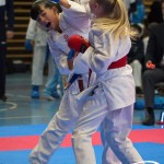 Österreichische Karate Meisterschaft 2024