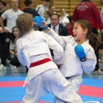 Österreichische Karate Meisterschaft 2024