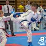 Österreichische Karate Meisterschaft 2024