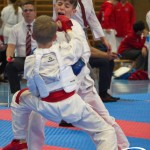 Österreichische Karate Meisterschaft 2024