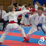 Österreichische Karate Meisterschaft 2024