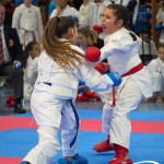 Österreichische Karate Meisterschaft 2024