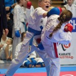 Österreichische Karate Meisterschaft 2024