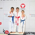 Österreichische Karate Meisterschaft 2024