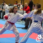 Österreichische Karate Meisterschaft 2024