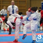 Österreichische Karate Meisterschaft 2024