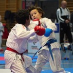 Österreichische Karate Meisterschaft 2024