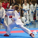 Österreichische Karate Meisterschaft 2024