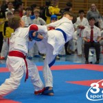 Österreichische Karate Meisterschaft 2024