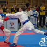 Österreichische Karate Meisterschaft 2024