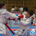 Österreichische Karate Meisterschaft 2024