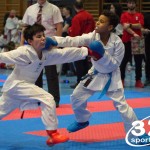 Österreichische Karate Meisterschaft 2024