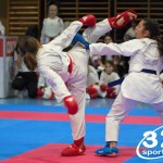 Österreichische Karate Meisterschaft 2024