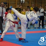 Österreichische Karate Meisterschaft 2024