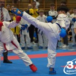 Österreichische Karate Meisterschaft 2024