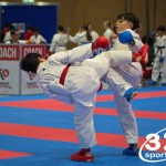 Österreichische Karate Meisterschaft 2024