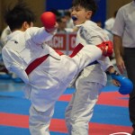 Österreichische Karate Meisterschaft 2024