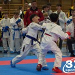 Österreichische Karate Meisterschaft 2024