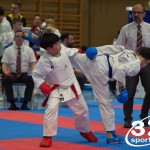 Österreichische Karate Meisterschaft 2024