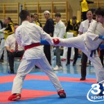 Österreichische Karate Meisterschaft 2024