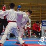 Österreichische Karate Meisterschaft 2024