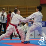 Österreichische Karate Meisterschaft 2024