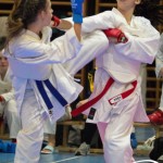 Österreichische Karate Meisterschaft 2024