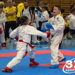 Österreichische Karate Meisterschaft 2024