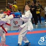 Österreichische Karate Meisterschaft 2024