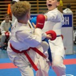 Österreichische Karate Meisterschaft 2024