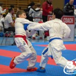 Österreichische Karate Meisterschaft 2024