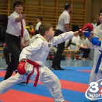 Österreichische Karate Meisterschaft 2024