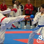 Österreichische Karate Meisterschaft 2024