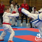 Österreichische Karate Meisterschaft 2024