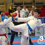 Österreichische Karate Meisterschaft 2024